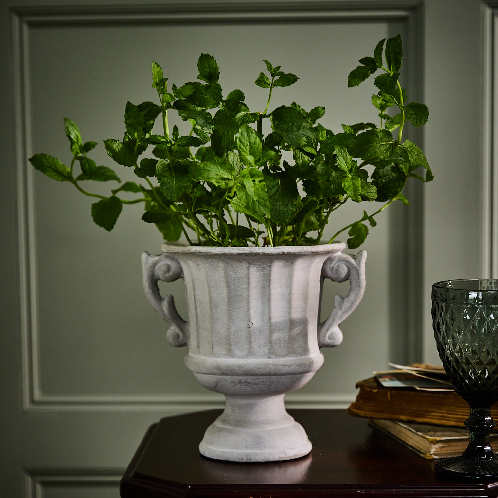 Classical Urn Planter - Evergreen Home Interiors
