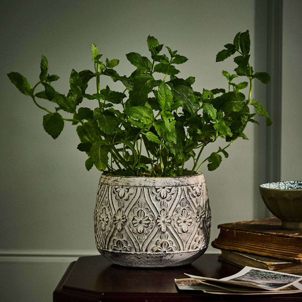Vintage Floral Embossed Planters - Evergreen Home Interiors