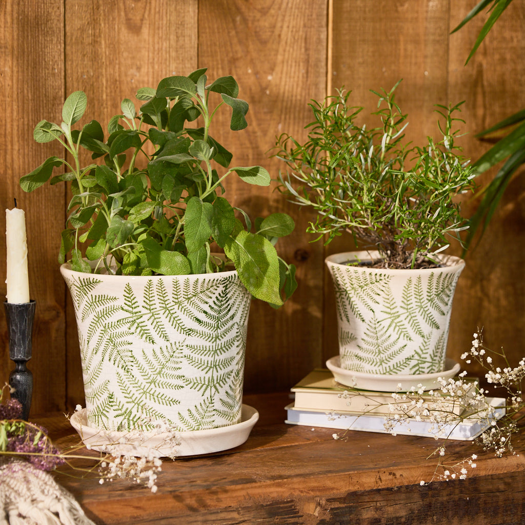 set of 2 fern leaf planters on trays