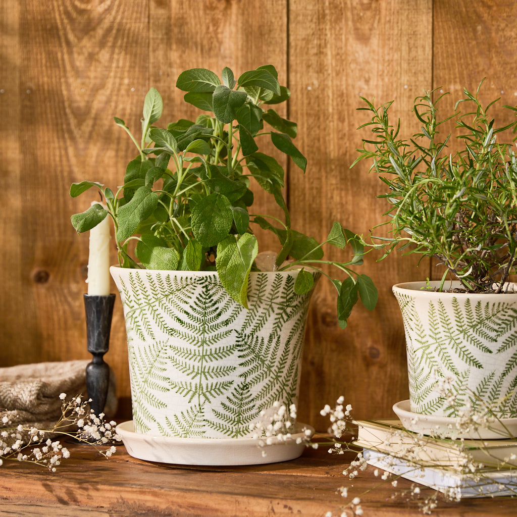 rustic style plant pots