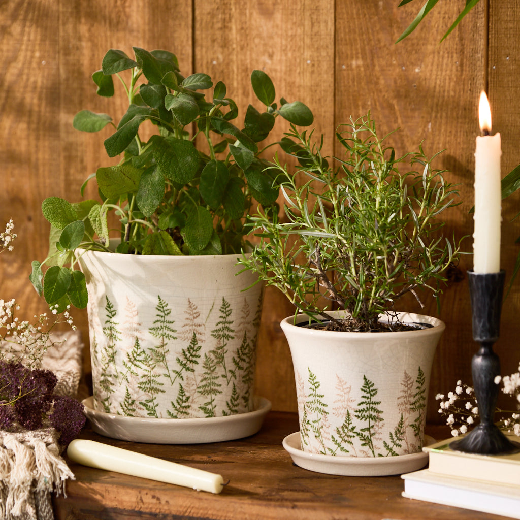 fern leaf flower pot planters