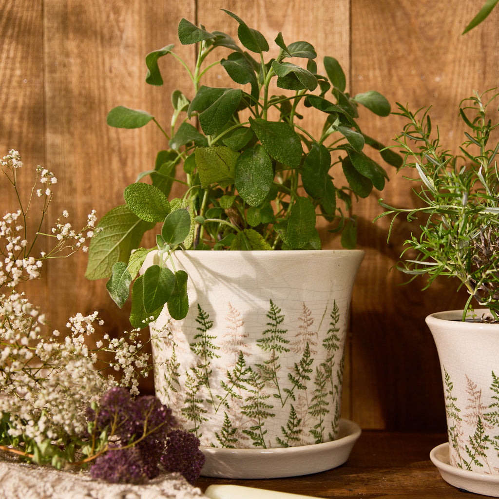 rustic planter on trays