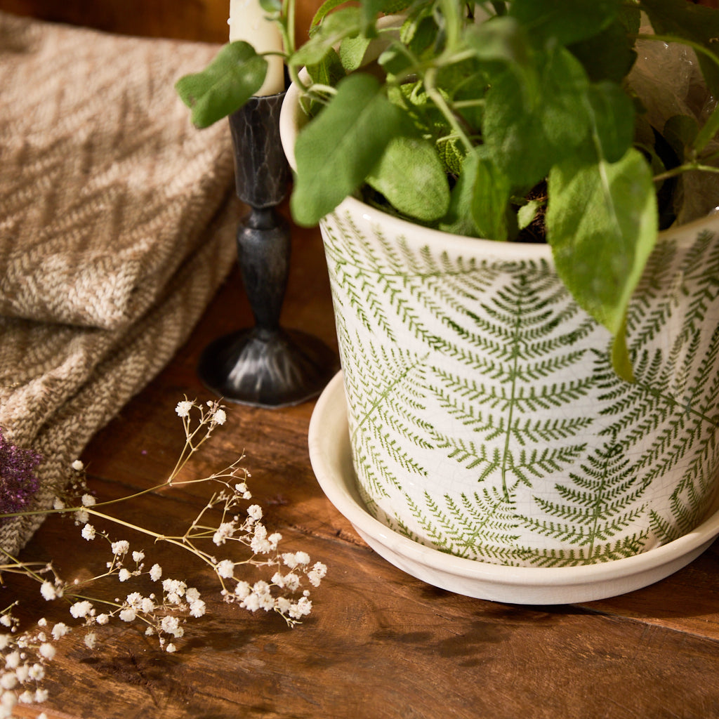 The Beauty and Functionality of Ceramic Planter Pots for Home Gardening