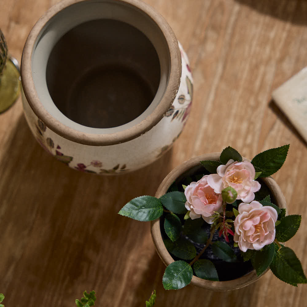Best 5 Essential Tips for Choosing the Perfect Home Decor Planters
