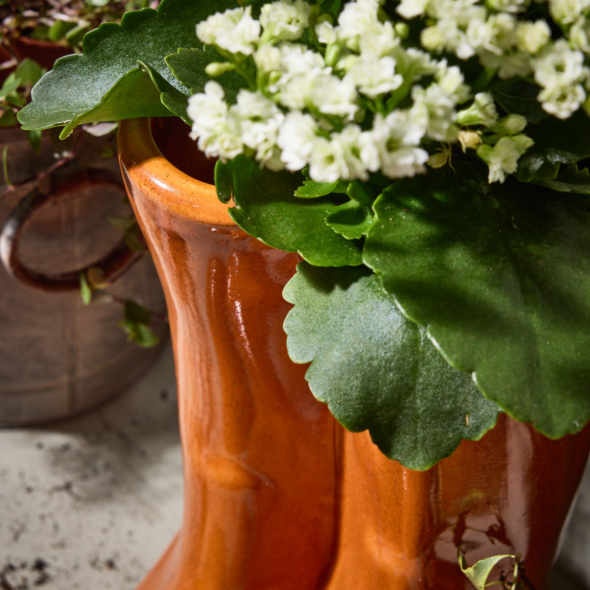 Orange Wellington Boot Planters - Evergreen Home Interiors 