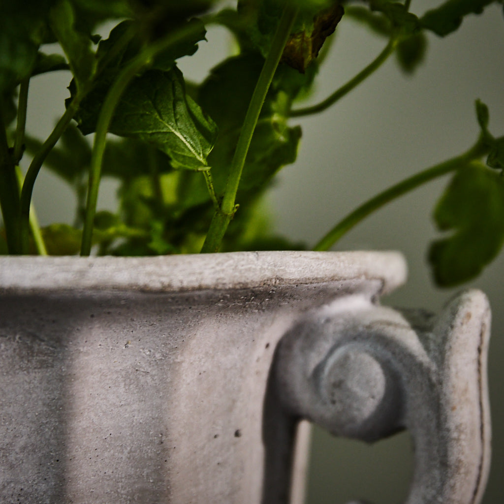Classical Urn Planter - Evergreen Home Interiors 
