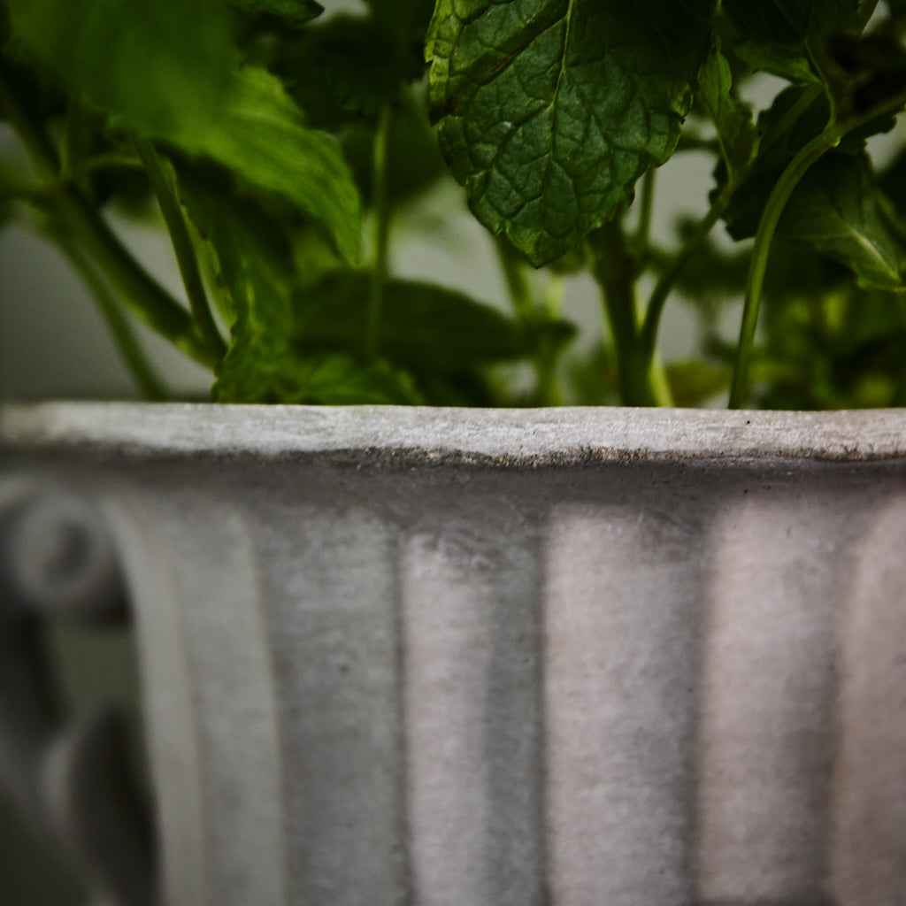 Classical Urn Planter - Evergreen Home Interiors 