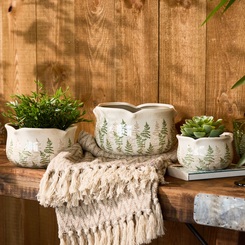 ceramic fern leaf plant pots