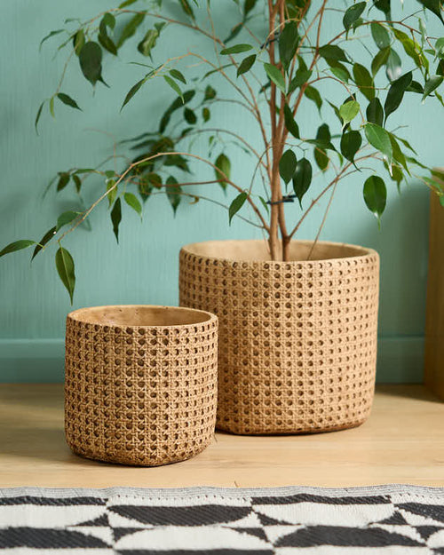 Faux Rattan Planters | Evergreen Home Interiors